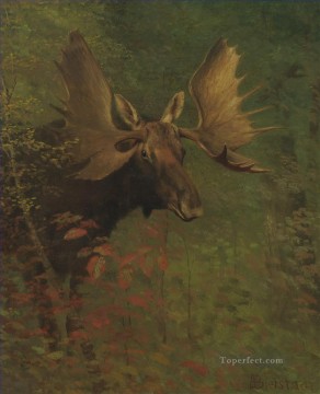 Animal Painting - STUDY OF A MOOSE American Albert Bierstadt animal